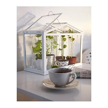 IKEA SOCKER 温室 ☆IKEA/イケア☆】SOCKER 温室/901.917.26